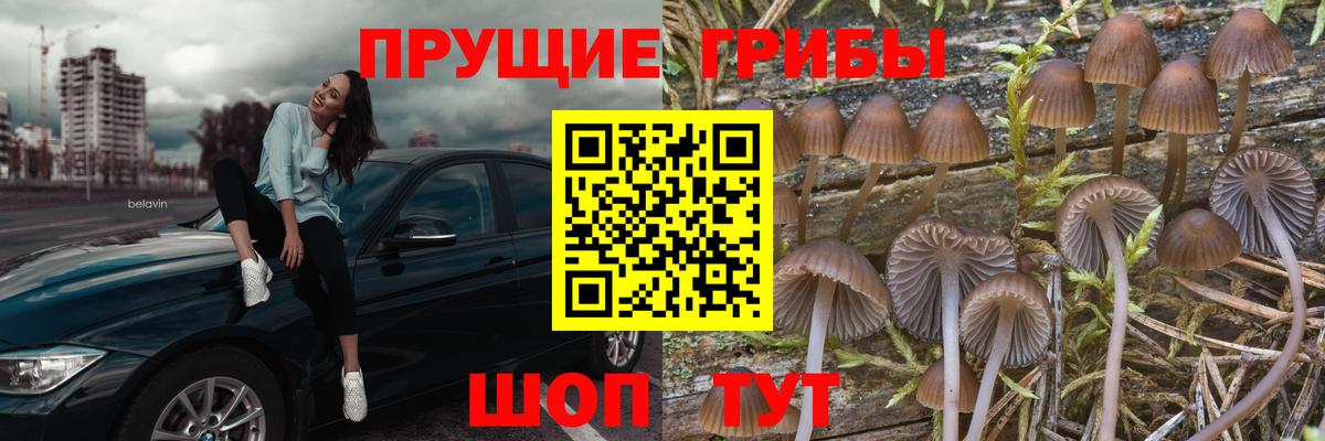 Галлюциногенные грибы прущие грибы  купить закладку  Сухой Лог  Вход с VPN 